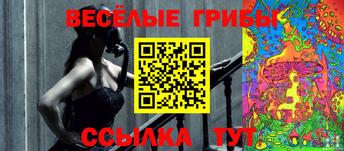 Псилоцибиновые грибы GOLDEN TEACHER Миасс